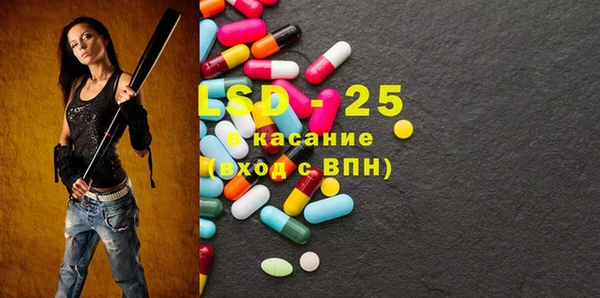 сатива Осинники