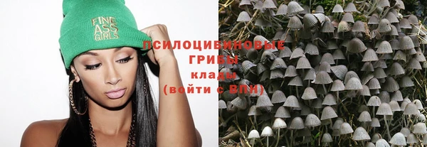 дурь Абинск