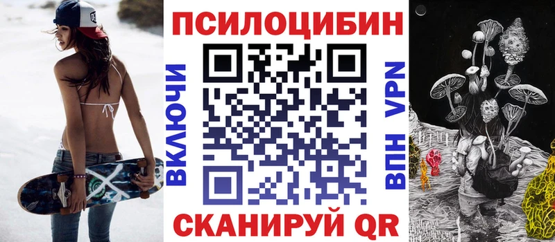 где продают   Чита  Галлюциногенные грибы Psilocybine cubensis 