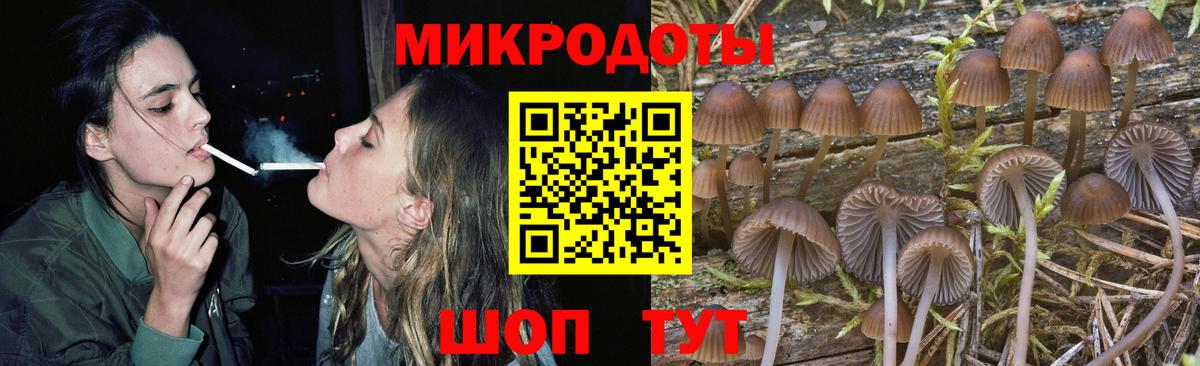 Чита  Псилоцибиновые грибы MAGIC MUSHROOMS  Псилоцибиновые грибы мицелий  Вход с VPN 